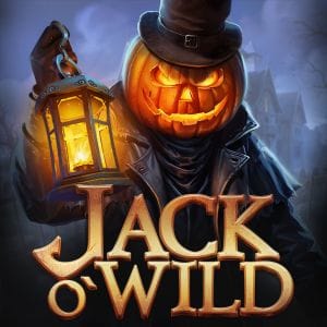 Jack O'Wild screenshot